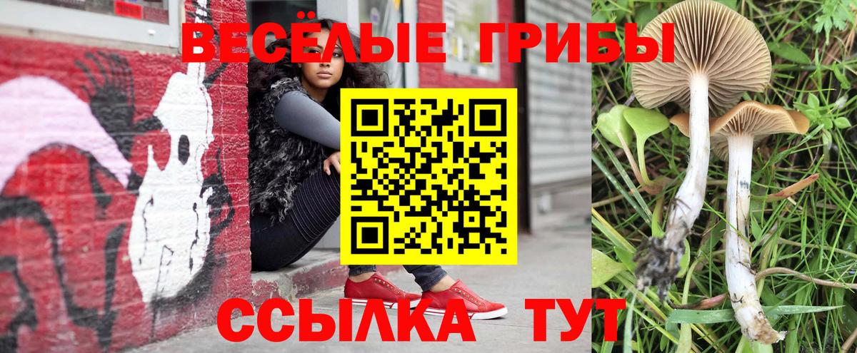 Псилоцибиновые грибы GOLDEN TEACHER  Вход с VPN  Ипатово 